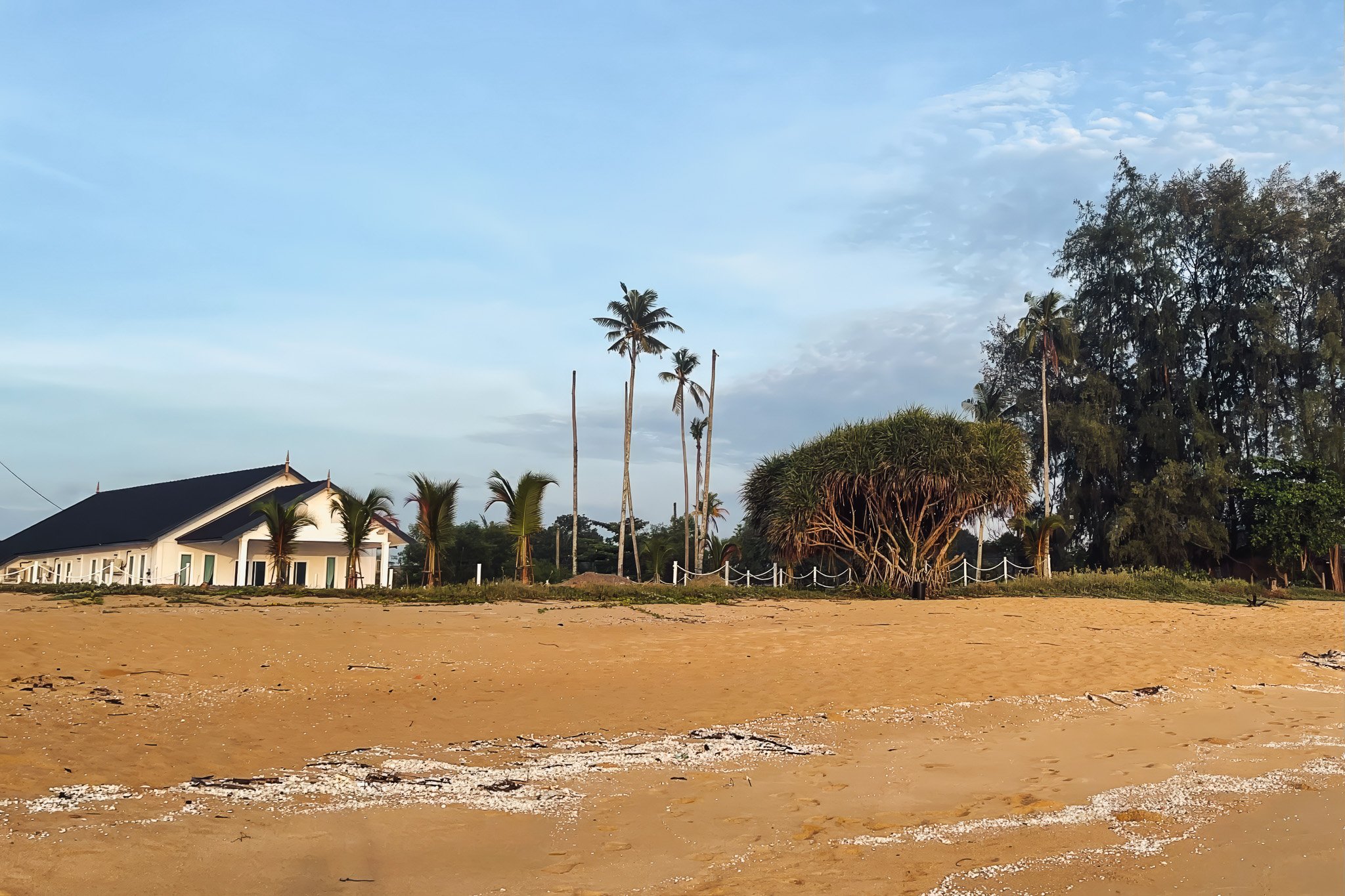 IMG_7988-HR-denoise-upscale-1x