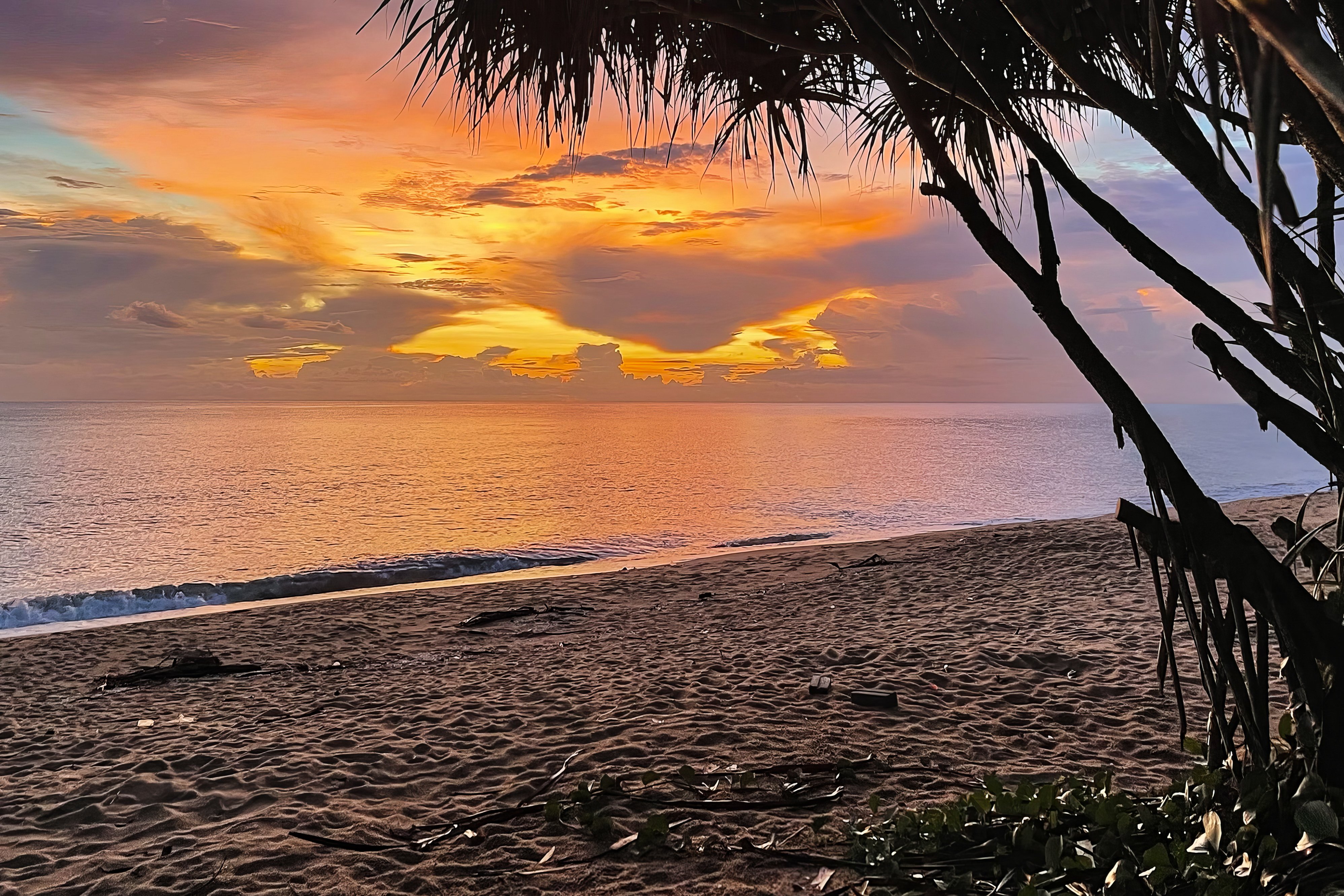 IMG_8108-HR-upscale-2x