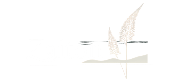 Logo - Zaiton - Dark - HubSpotRes Logo - Zaiton - Dark - HubSpotRes