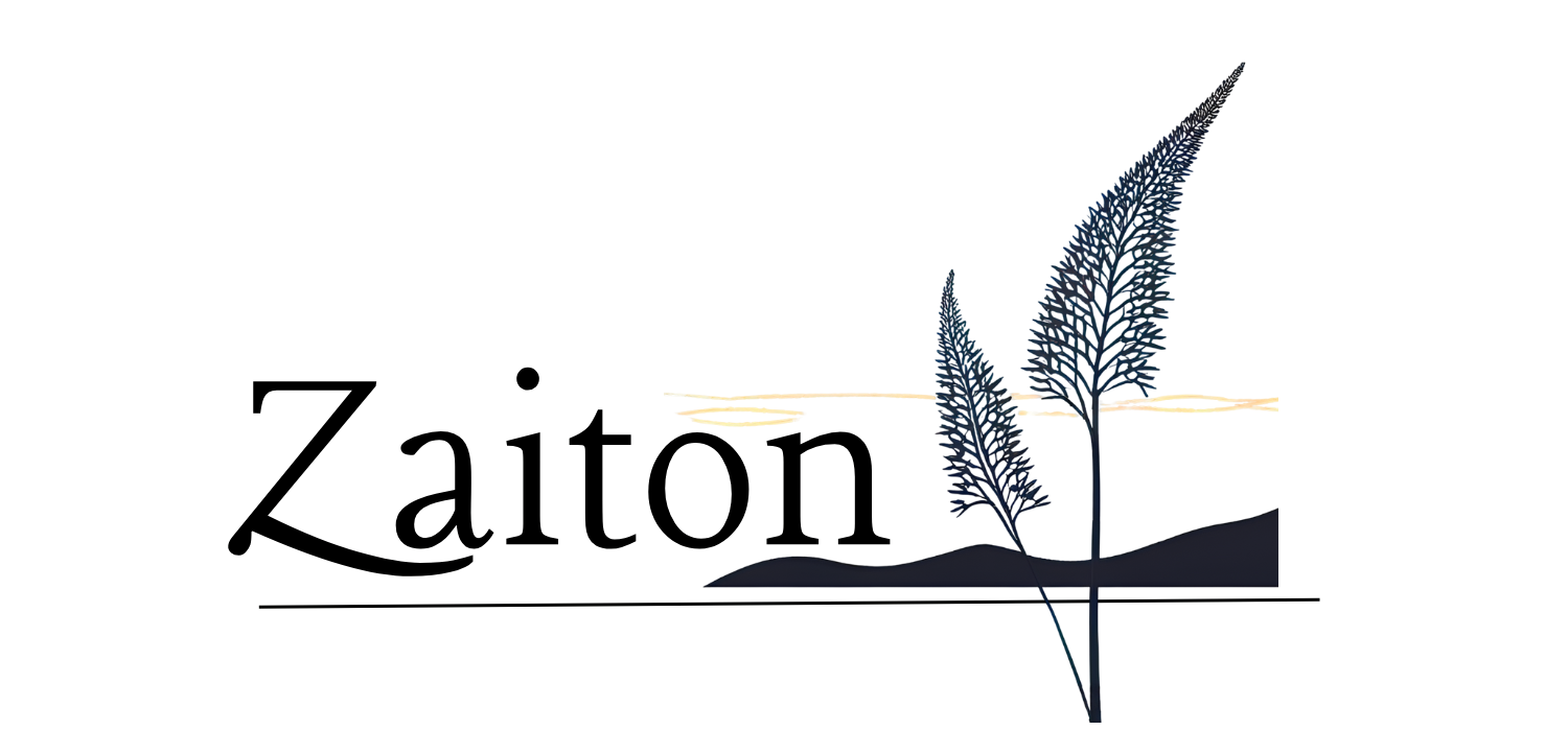 Logo - Zaiton - HubSpotRes